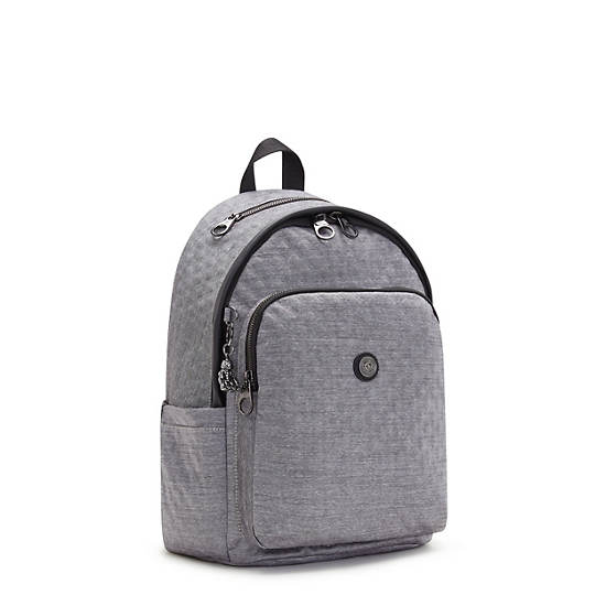 Sacs à Dos Kipling Delia Classiche Argent |VVJY-81248622