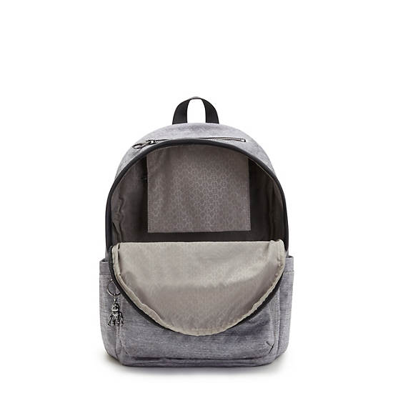 Sacs à Dos Kipling Delia Classiche Argent |VVJY-81248622