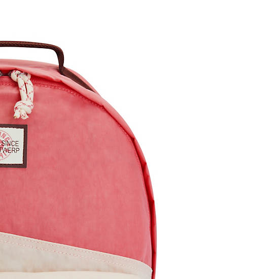 Sac Ordinateur Portable Kipling Damien Large Backpack Rose |UTML-98170039